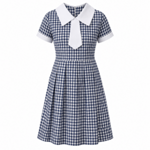 Blue White Checked School Uniform Dress with Tie Detail for Girls, Durable School Wear, Sizes 22-40