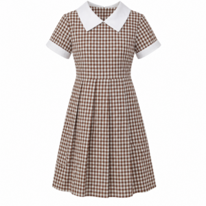 Brown White Small Checked School Uniform Dress for Girls, Durable School Wear, Sizes 22-40