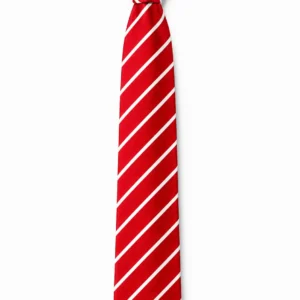 Red Striped School Tie, White Diagonal Stripe Uniform Tie