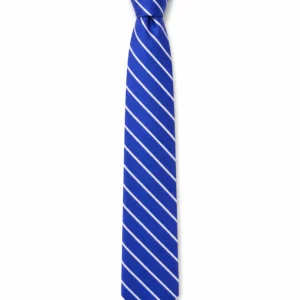 Royal Blue Striped School Tie, White Diagonal Stripe Uniform Tie